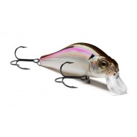 EG-125D-SP Archback 60SP