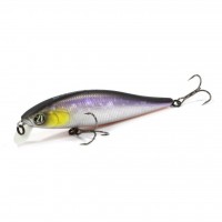 Pontoon 21 Bet-A-Minnow 78SP-SR
