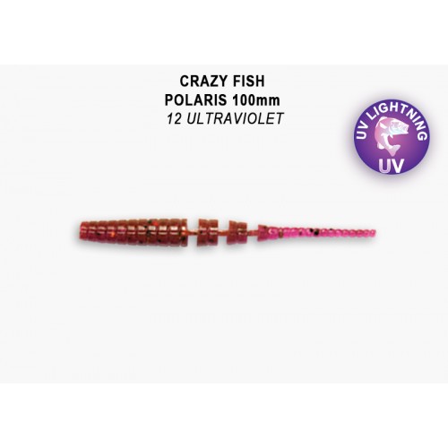 Polaris 4" 38-100-12-6-F