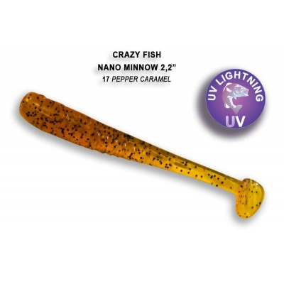 Nano minnow 2.2" 22-55-17-6