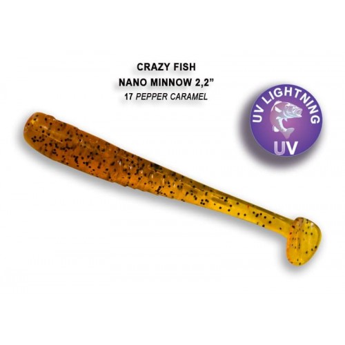 Nano minnow 2.2" 22-55-17-6