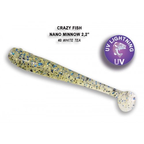 Nano minnow 2.2" 22-55-40-6