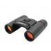 Бинокль СЛЕДОПЫТ,10х22, черный,177 гр/PF-BT-01