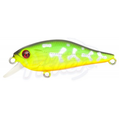 Воблер Шэд PONTOON 21 Cheerful 60F-SR, 60 мм, 6.7 гр, Загл. 0.4м.-0.6м., Плавающий, цвет: 070